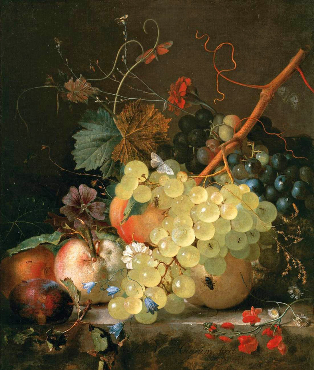 still life